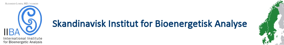 Skandinavisk Institut for Bioenergetisk Analyse Logo