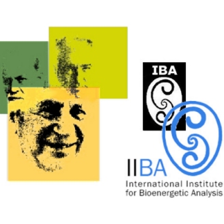 IIBA-graphic